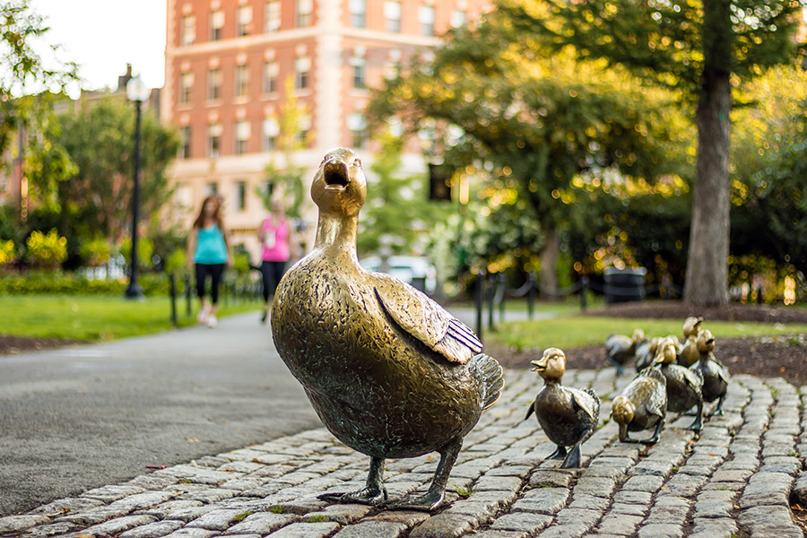 About Our Agency - Closeup Of Mother Duck and Ducklings Statue at the Boston, Ma Public Garden